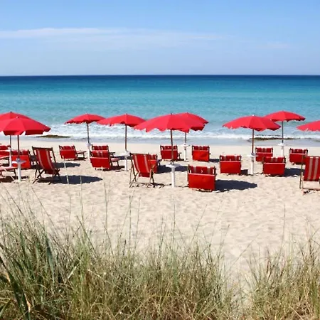 Di Apollo * Torre Mozza