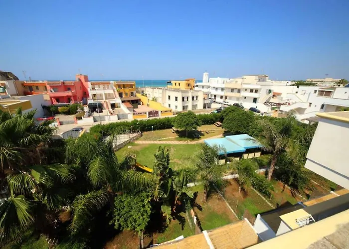 Di Apollo * توري موتسا